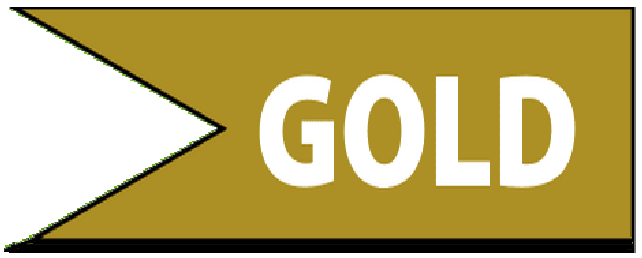 annonce moto Gold
